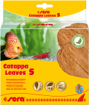 sera Catappa Leaves S / 10 Stück